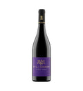 Pinot Nero IGP Trevenezie 2023